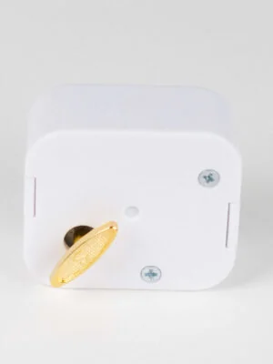 Muziekdoosje theme "Under the sea"